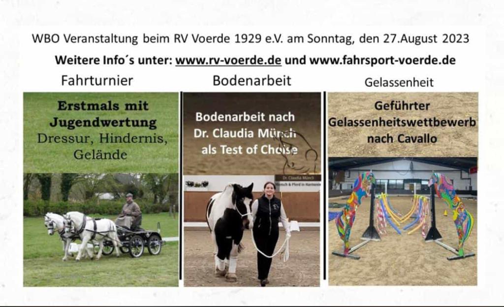 Gelassenheitsprüfung nach Cavallo am Reitverein Voerde e.V.